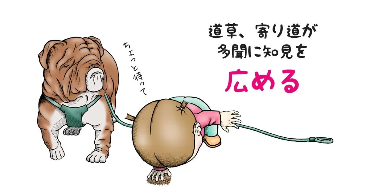 画像9