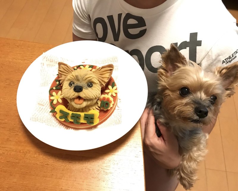 写真を元にワンちゃんそっくりの犬用ケーキを作ってもらえる話 フクイヒロシ 映画垢 Note