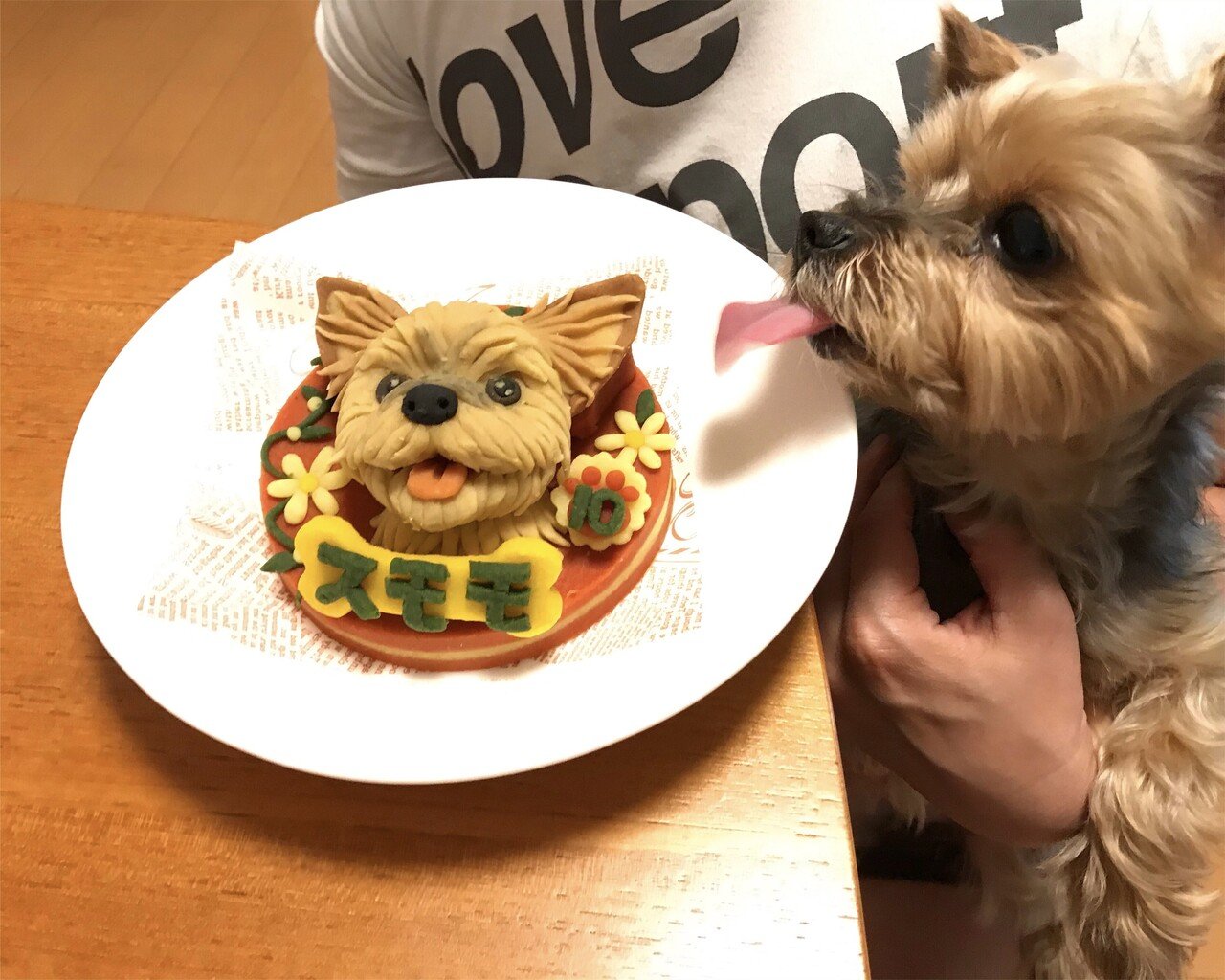 写真を元にワンちゃんそっくりの犬用ケーキを作ってもらえる話 フクイヒロシ 映画垢 Note