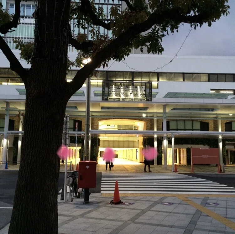画像14