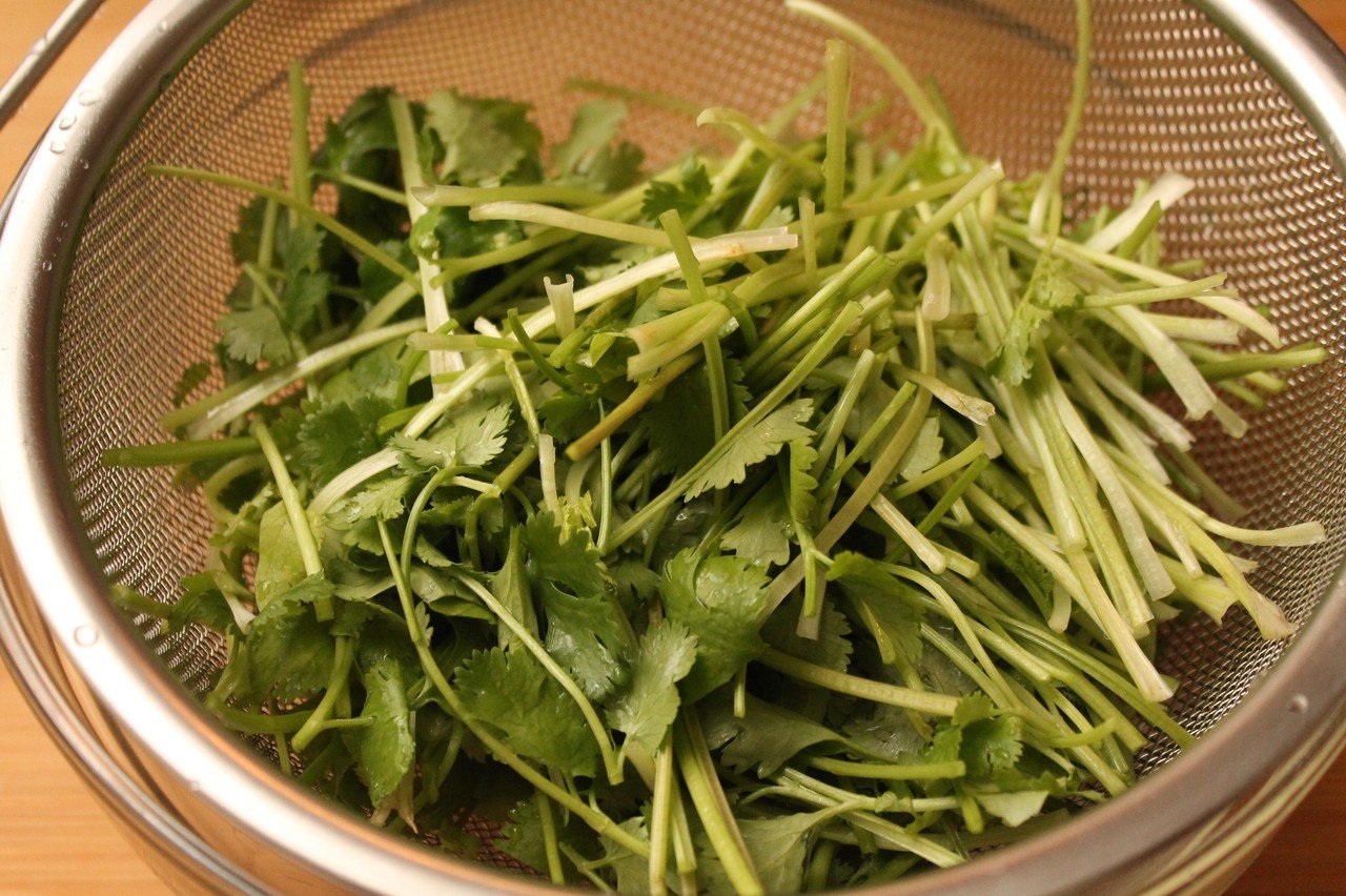 パクチーのサラダ 樋口直哉 Travelingfoodlab Note パクチーのサラダ 樋口直哉 Travelingfoodlab Note