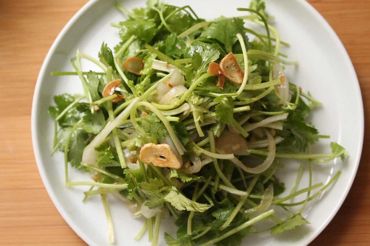 パクチーのサラダ 樋口直哉 Travelingfoodlab Note パクチーのサラダ 樋口直哉 Travelingfoodlab Note