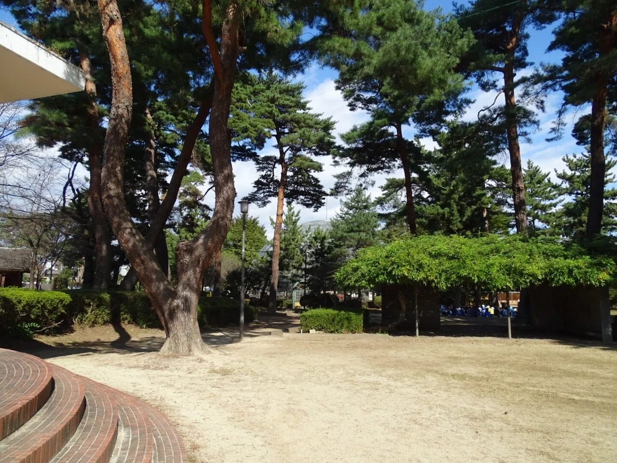 画像1