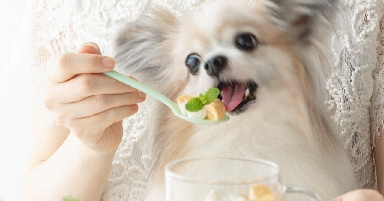 レンジで2分 食パン不要のマグカップフレンチトーストプリン 手作り犬おやつレシピ 犬ごはん先生いちかわあやこ Official Web Site