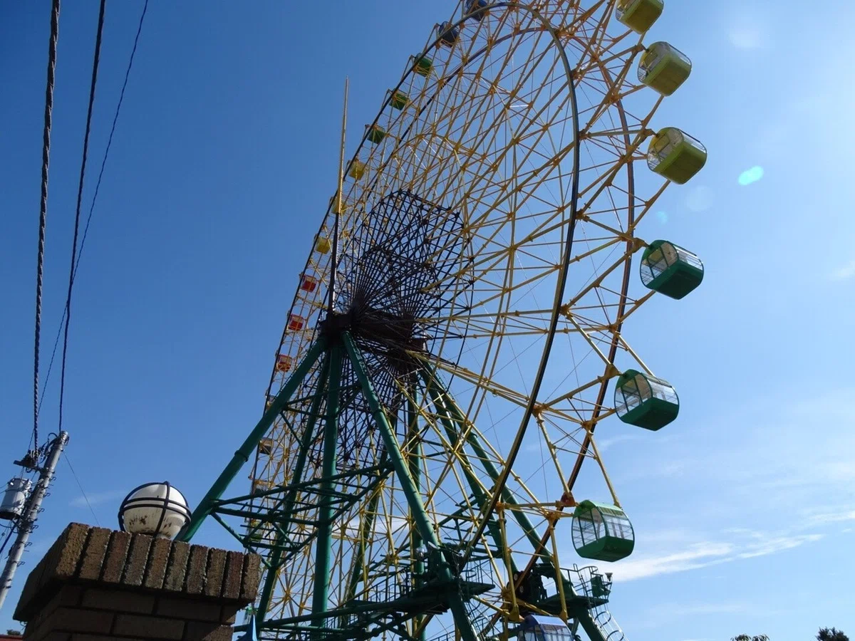 画像5