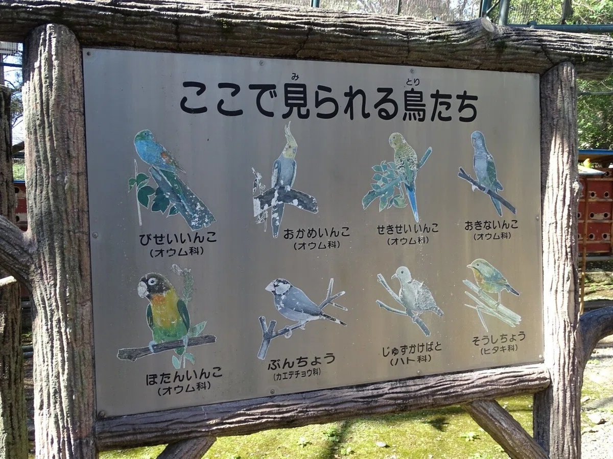 画像8