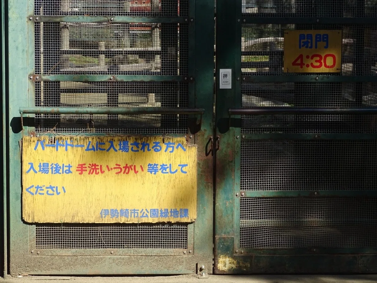 画像11