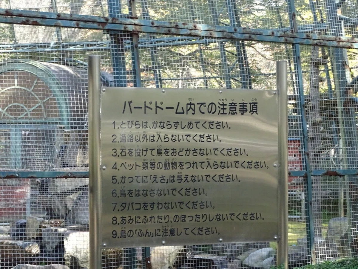 画像12
