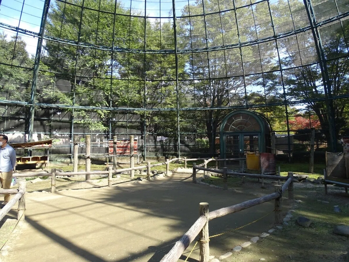 画像14