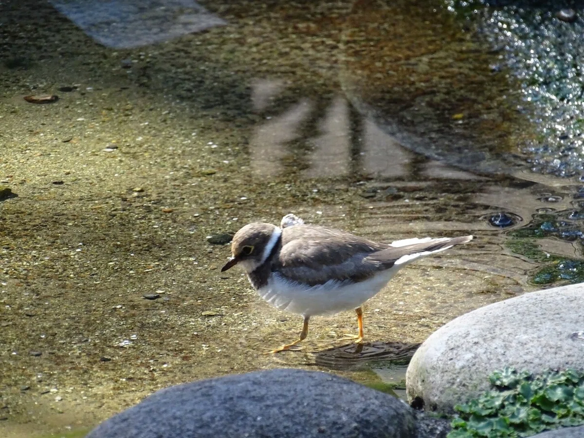 画像21