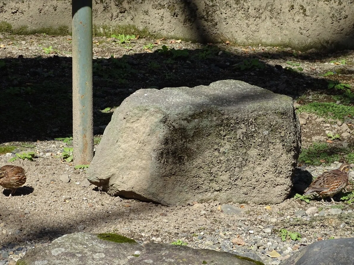 画像25