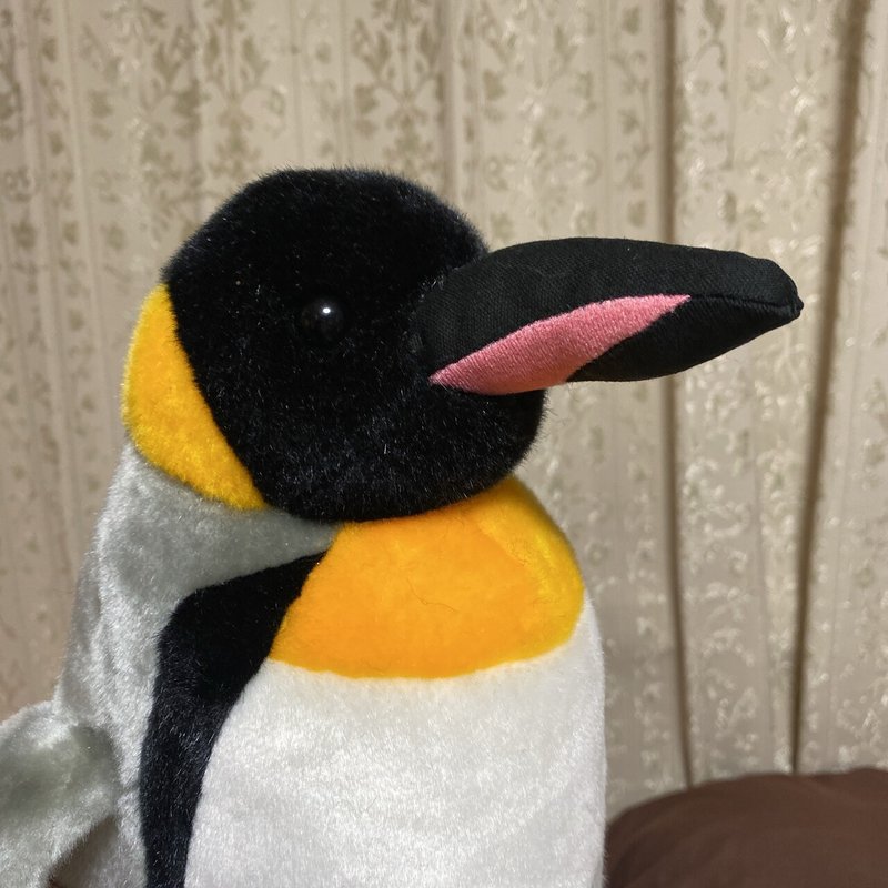 ぬいぐるみ手術 具香 Note