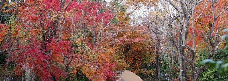 読書感想 カヨ子ばあちゃんの男の子の育て方 久保田カヨ子 Mokoron こやまもとこ Note 読書感想 カヨ子ばあちゃんの男の子の育て方 久保田カヨ子 Mokoron こやまもとこ Note