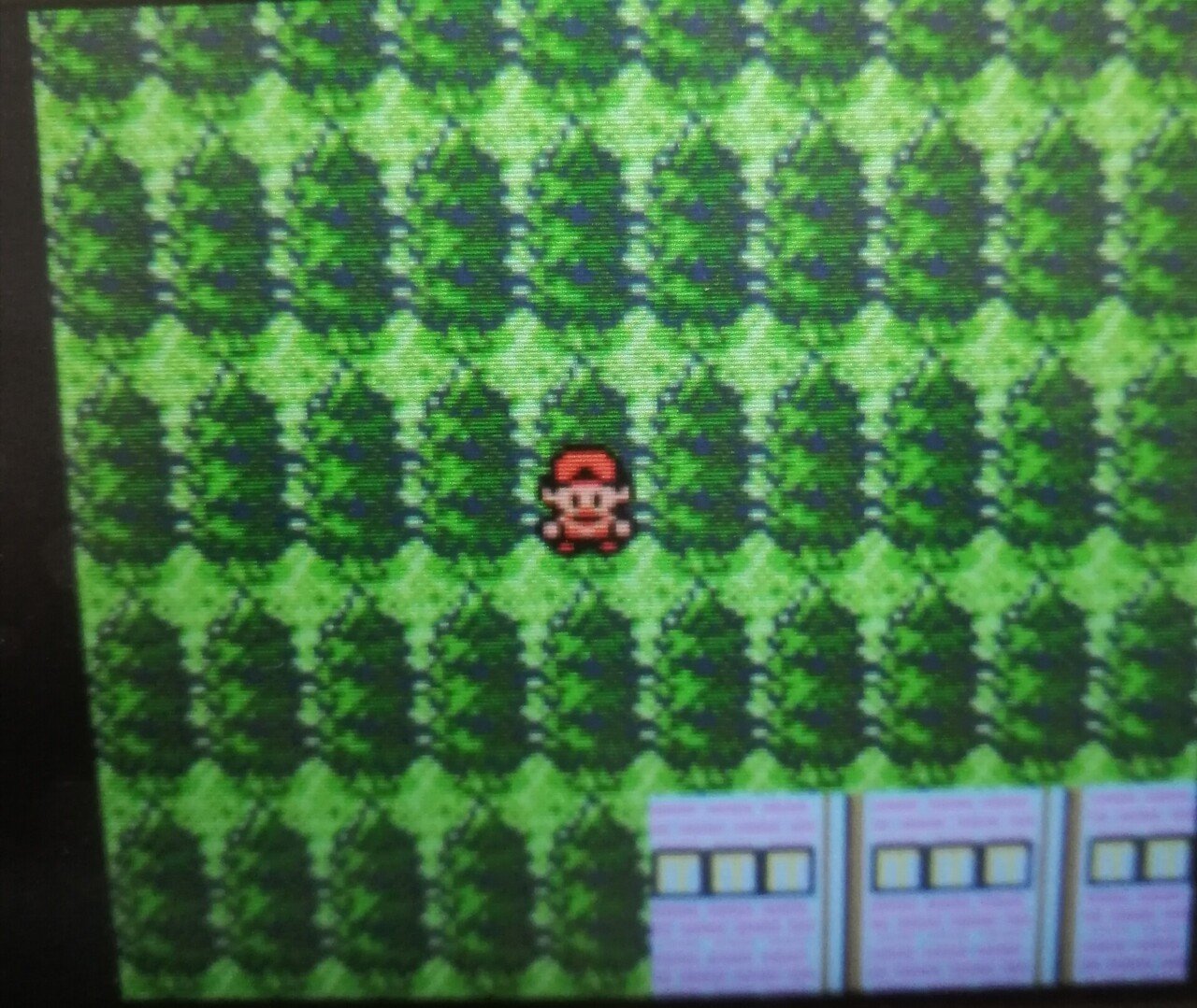 ポケットモンスター銀 Vc版 におけるバグマップ侵入の記録 漆黒川病魅璃 夜舞都市 Note ポケットモンスター銀 Vc版 におけるバグマップ侵入の記録 漆黒川病魅璃 夜舞都市 Note