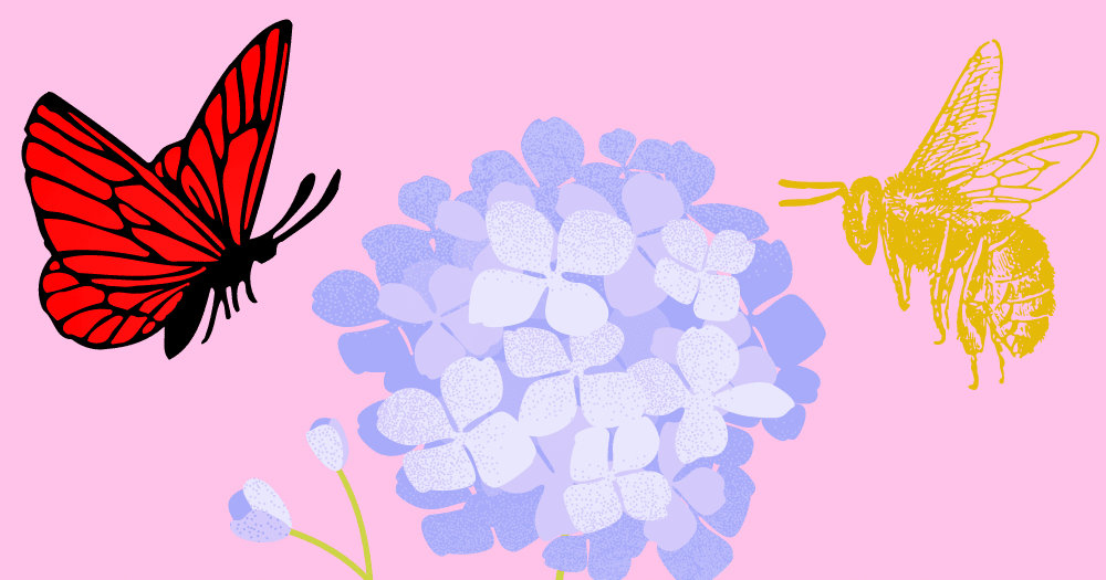 蝶のように舞い 蜂のように刺す プレイリスト Yuklab Note