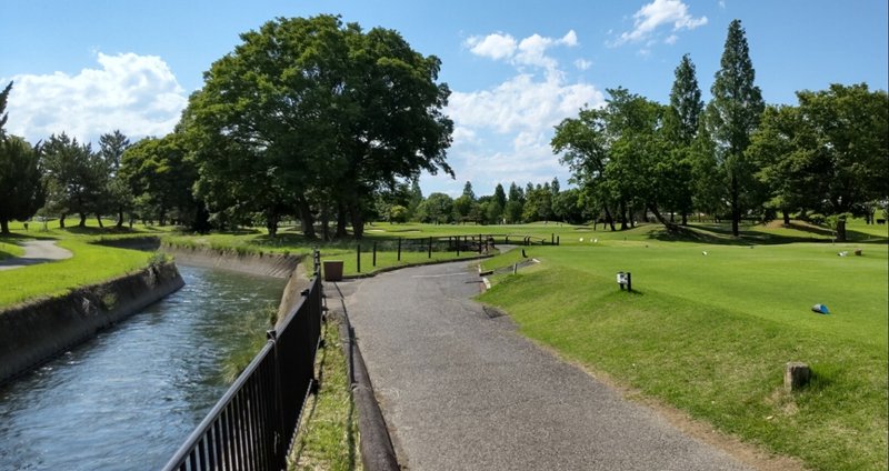 ゴルフ】橘のゴルフ雑記 - クラブセッティング｜橘ダイスケ｜note