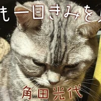 エッセイ連載 角田光代 明日も一日きみを見てる 小説 野性時代