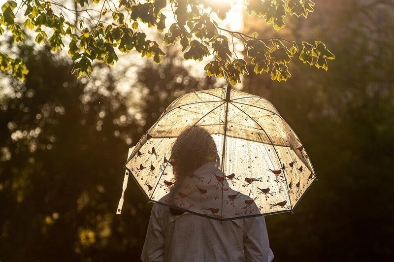 女性・傘・雨・狐の嫁入り・光・後ろ姿・木々