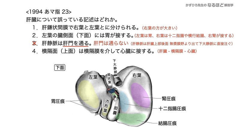 【徹底的国試対策】4-4 消化器系 - 肝臓・胆嚢・膵臓.141