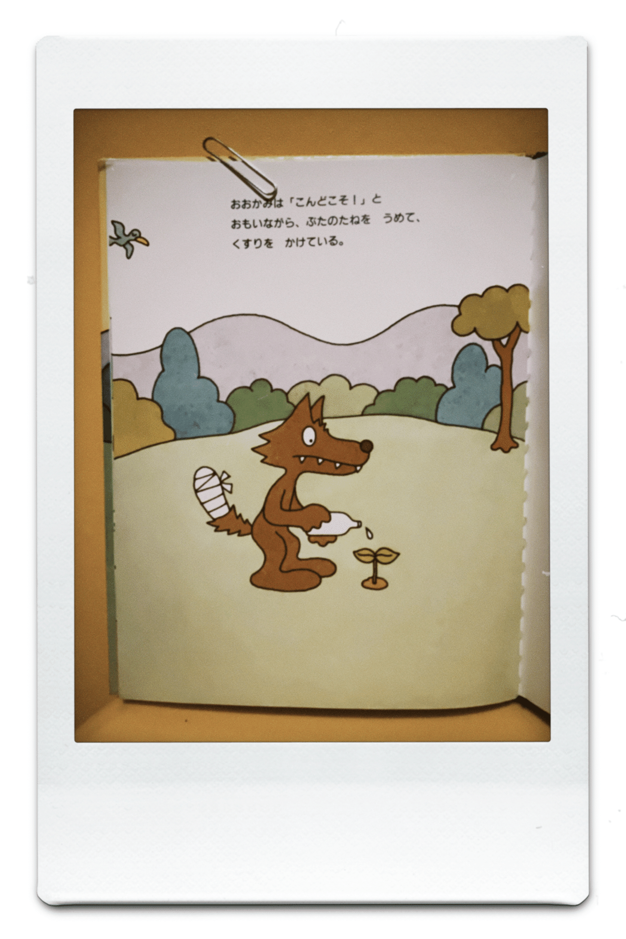 保育士奥さんのオススメ絵本】45冊目「ぶたのたね」｜ぶさいくパパたん