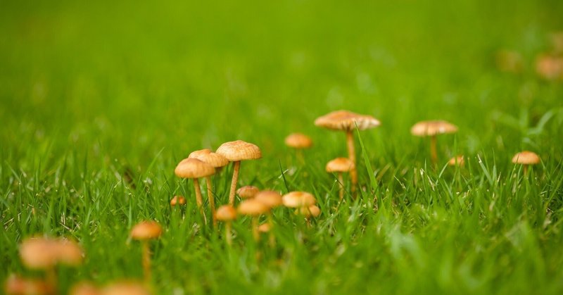 行き倒れもできないこんな異世界じゃ の新着タグ記事一覧 Note つくる つながる とどける