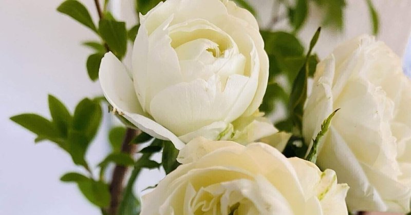 ツンデレ悪役令嬢リーゼロッテと実況の遠藤くんと解説の小林さん 感想 モモチップス Note