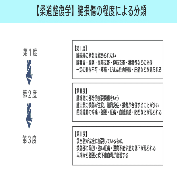 柔道整復学 図解イラストで簡単 腱損傷の程度による分類 の覚え方 森元塾 国家試験対策 Note