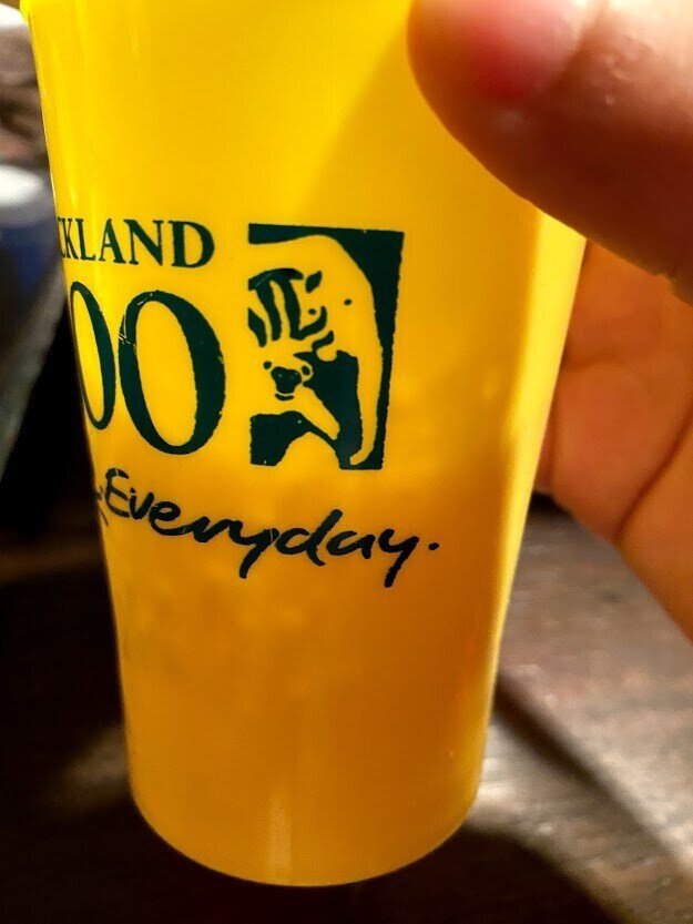オークランド動物園で買ったコップ面白い 謎の自信はつを オフショット Note オークランド動物園で買ったコップ面白い 謎の自信はつを オフショット Note