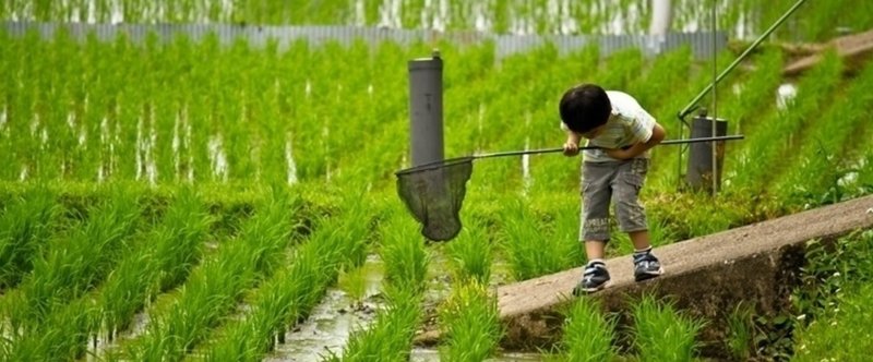 結局のところ、生きることに臆病なんだと思う