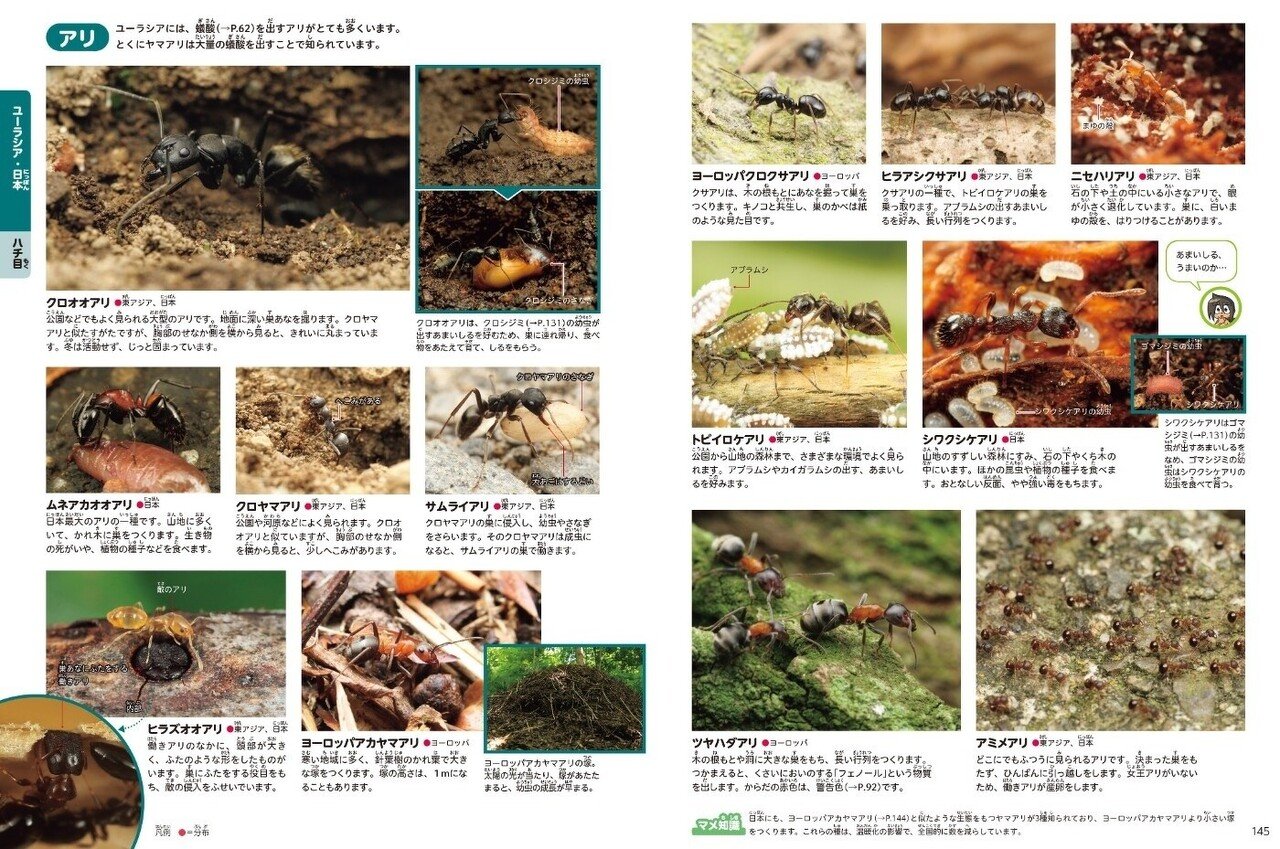 アリの巣の生き物図鑑 - 虫類用品