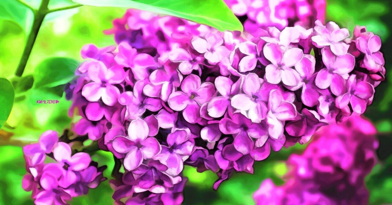 6月12日 誕生花は紫丁香花 誕生花短歌 御子柴 流歌 Note