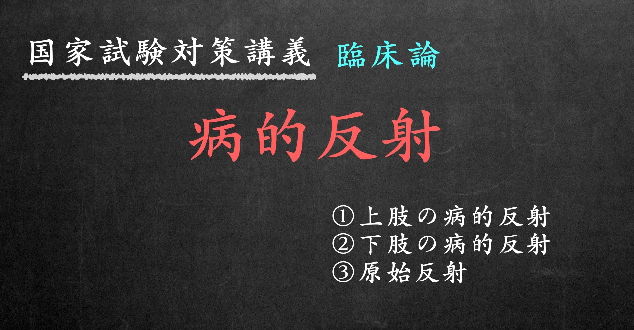 臨床論 図解イラストとゴロあわせで簡単 病的反射 の覚え方 森元塾 国家試験対策 Note