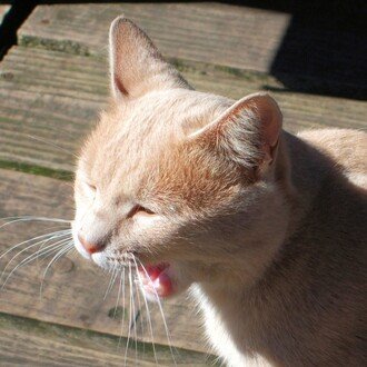 科学的に考えてみる