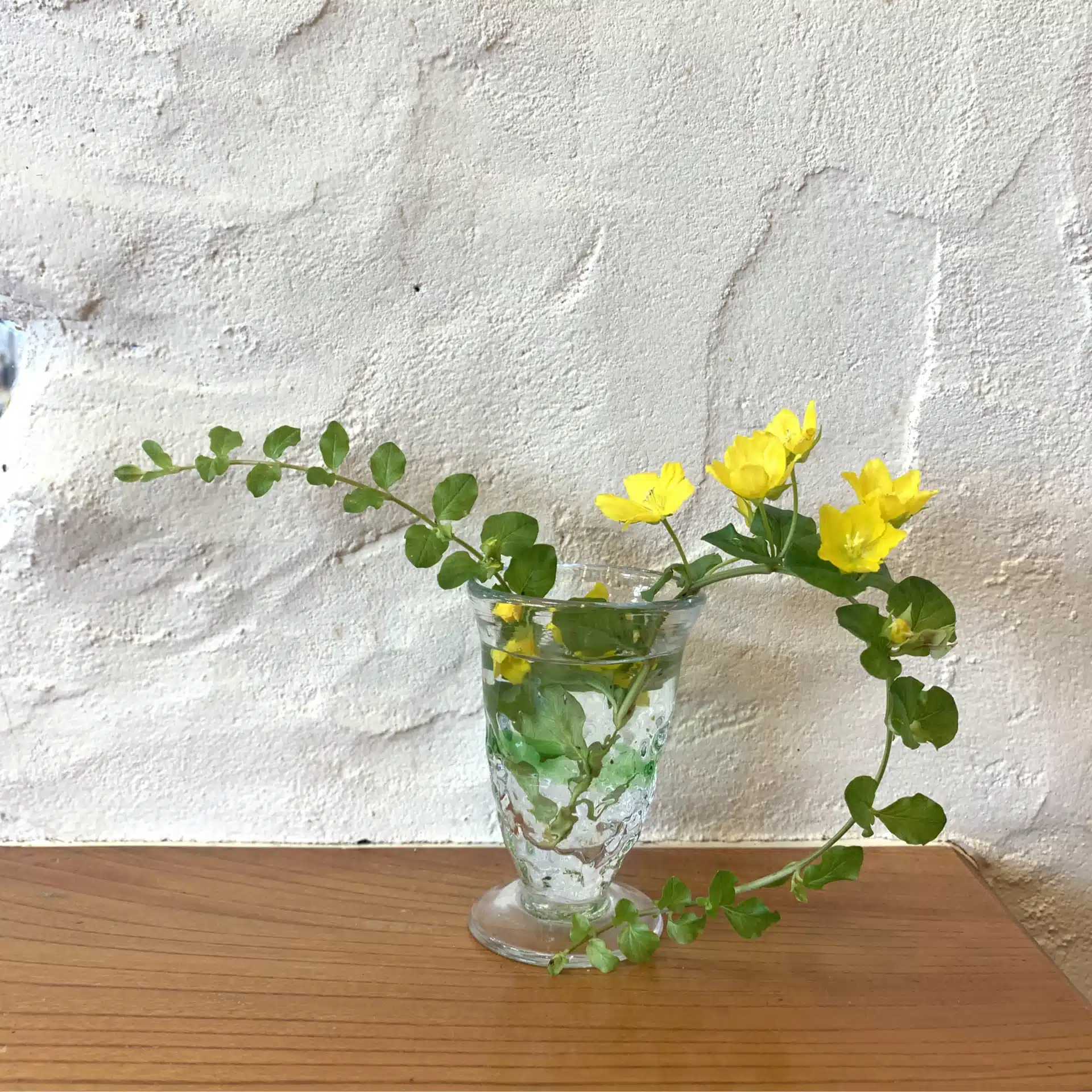 yuki_atelier