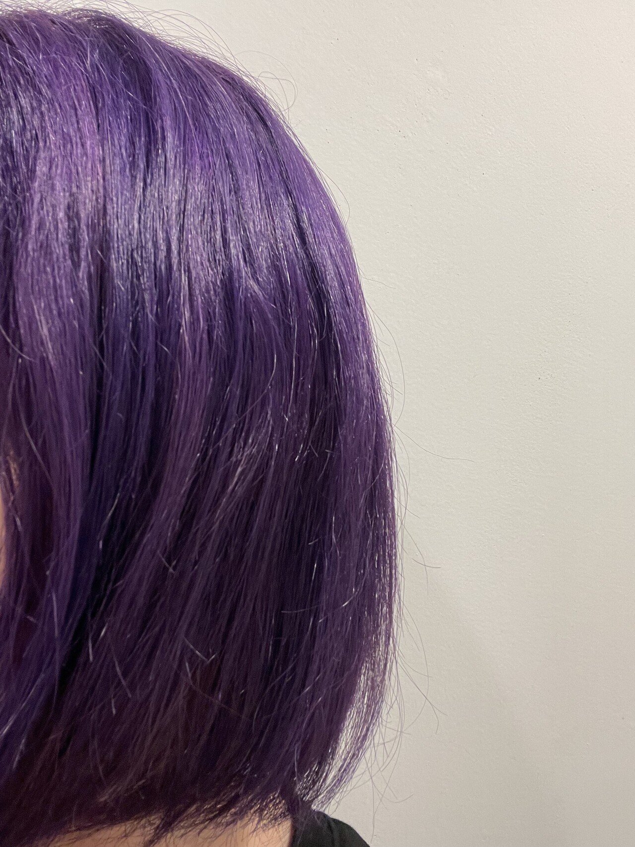 パープルに染めてから一週間 一ヶ月後 Pictoria Note パープルに染めてから一週間 一ヶ月後 Pictoria Note