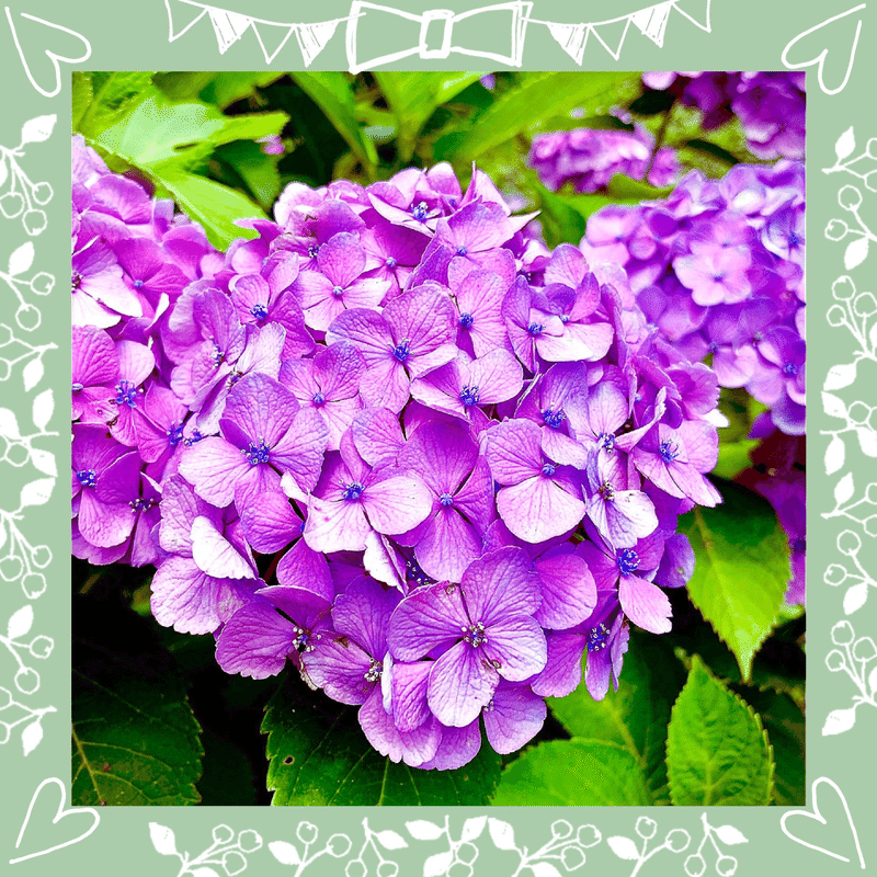 ソウジュであいうえお作文を作れ の新着タグ記事一覧 Note つくる つながる とどける