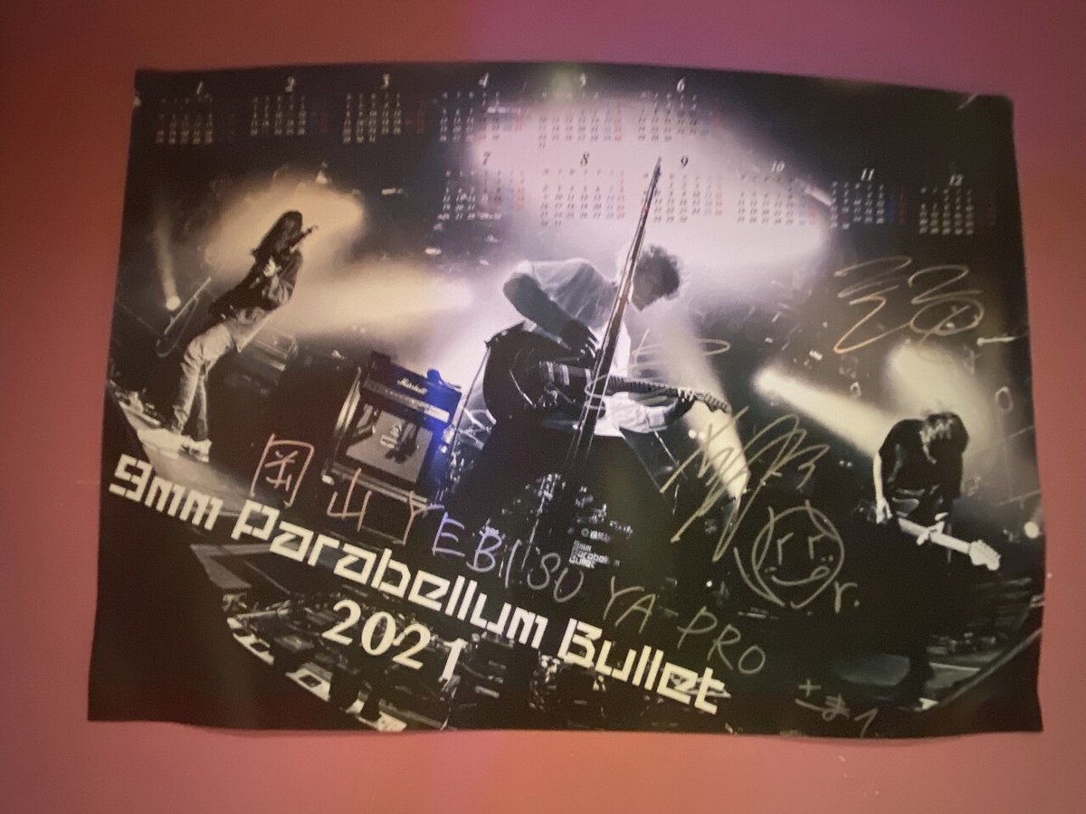 the band apart SMOOTH LIKE ELECTRICK & ACOUSTIC TOUR 岡山