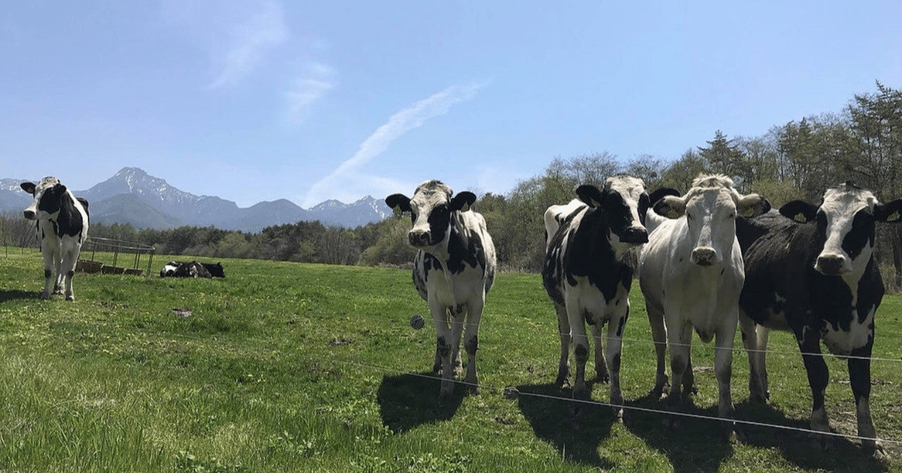 荒川弘先生と諫山創先生の対談の感想です 別冊少年マガジン7月号掲載 取材力 知識の大切さ 作 中のエゴ キャラの生き様の描き方 のお話が印象に残りました 社員マスカット Note