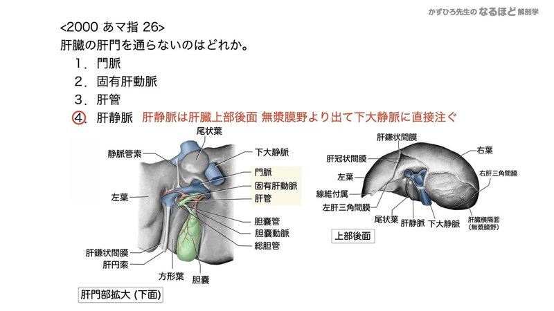【徹底的国試対策】4-4 消化器系 - 肝臓・胆嚢・膵臓.143