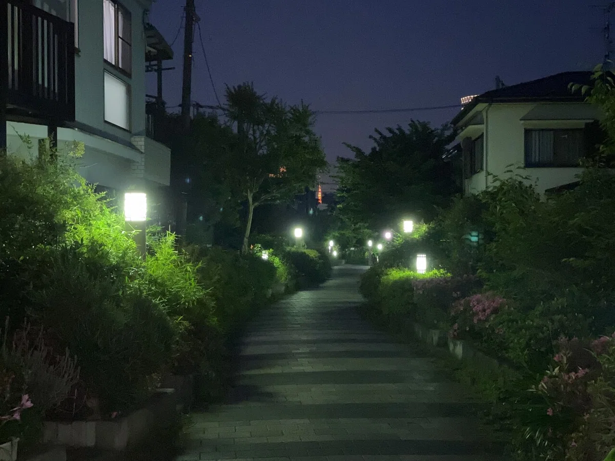 画像8