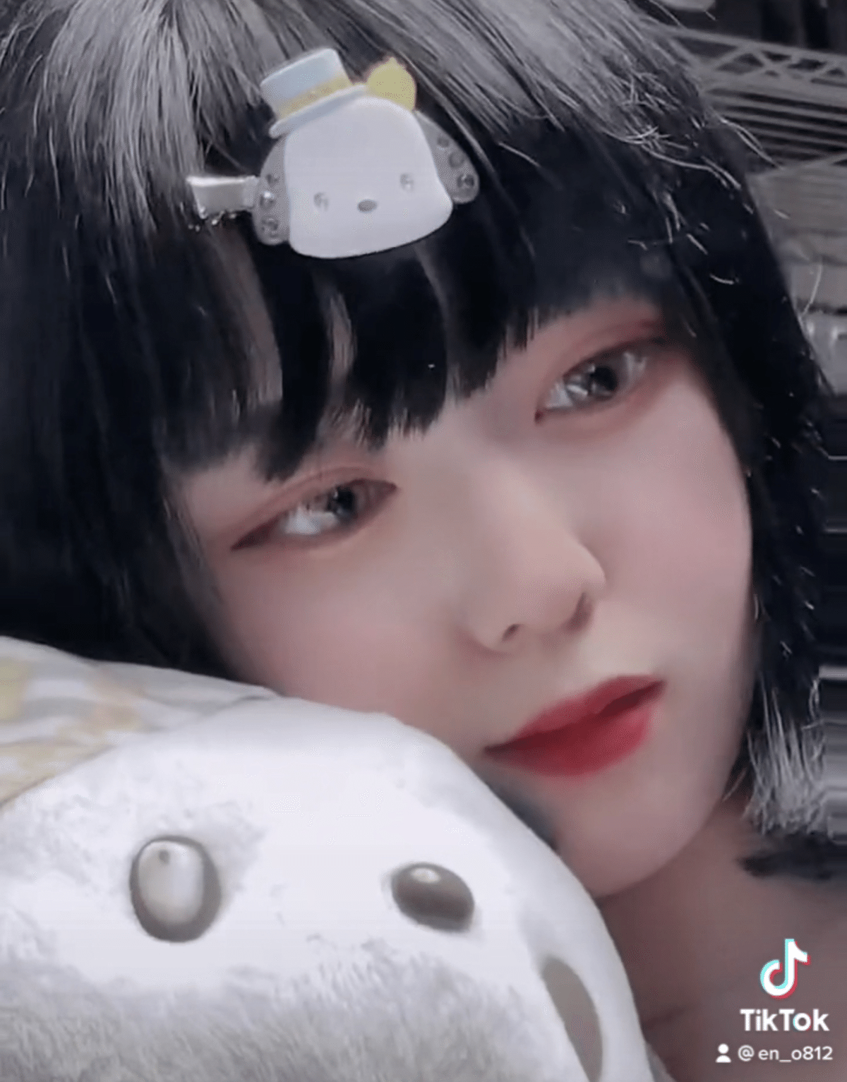 ついにボブえの❕｜えの🐣🌐