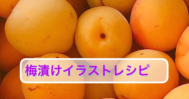 【YUKIE流タッパウエアーで作る梅漬けイラスト付きレシピ】
