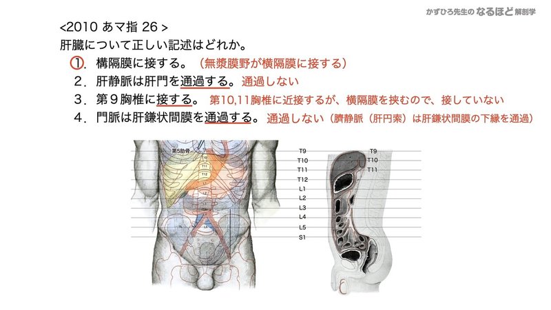 【徹底的国試対策】4-4 消化器系 - 肝臓・胆嚢・膵臓.148