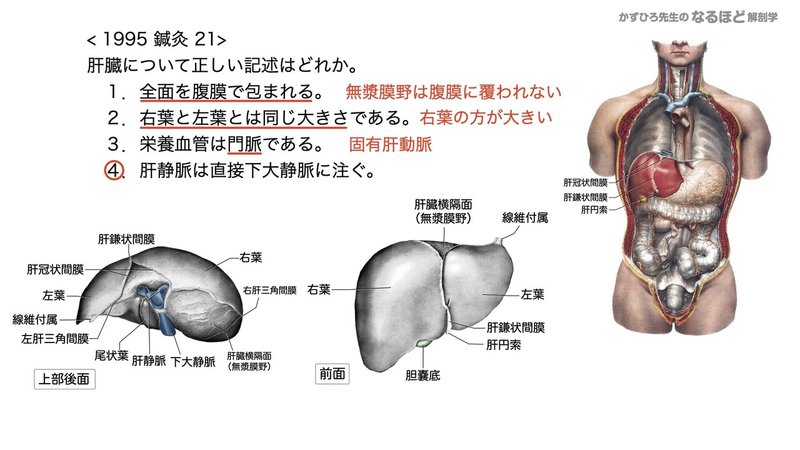 4 4 3 消化器系 肝臓 胆嚢 膵臓 国試過去問解説 黒澤一弘 Note