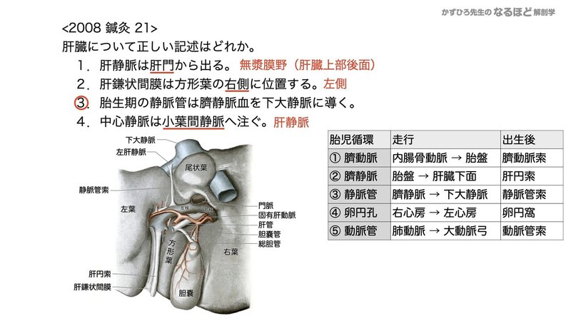 【徹底的国試対策】4-4 消化器系 - 肝臓・胆嚢・膵臓.155