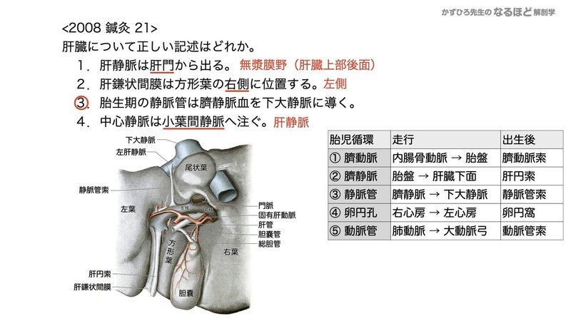 4 4 3 消化器系 肝臓 胆嚢 膵臓 国試過去問解説 黒澤一弘 Note