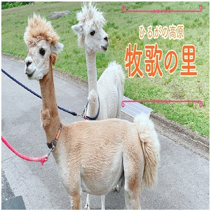 わたしとあるぱか 牧歌の里 ろばぱか Note
