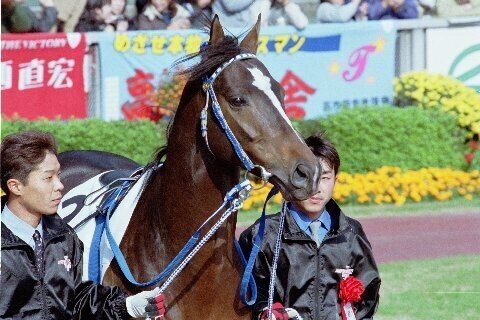 ウマ娘で学ぶ競馬史 09 不屈の帝王伝説 1993 94 マツウラ Note