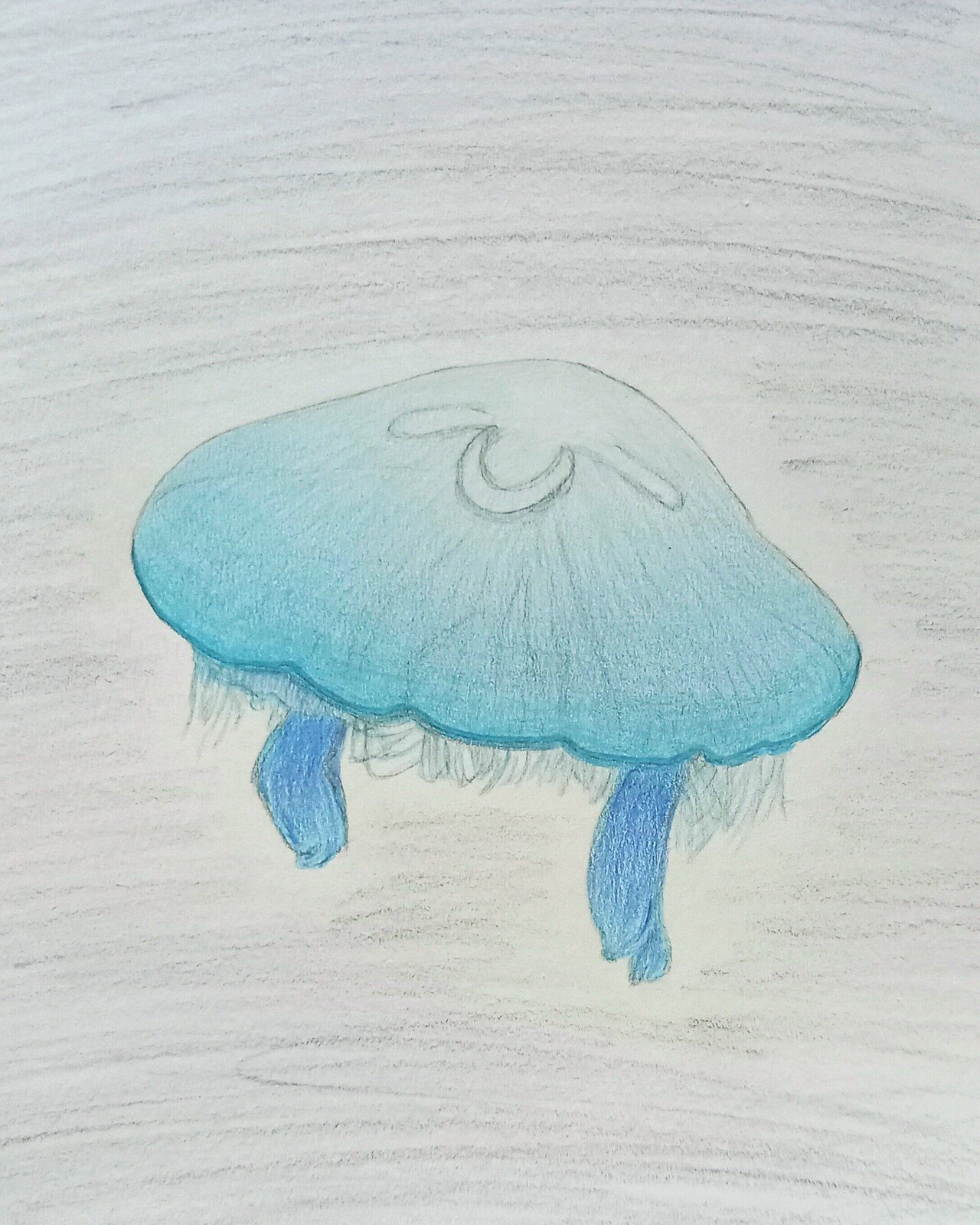 海月 十色恵蓮 Note 海月 十色恵蓮 Note