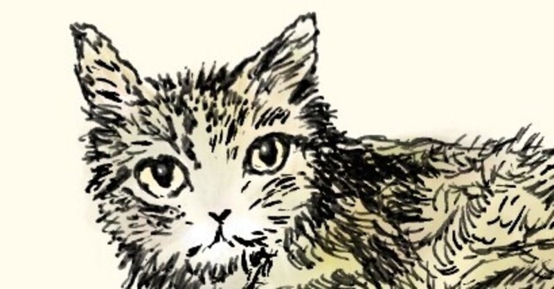 もしゃもしゃ動物の絵166 ペン画ねこさん彩色 かよん Note もしゃもしゃ動物の絵166 ペン画ねこさん彩色 かよん Note